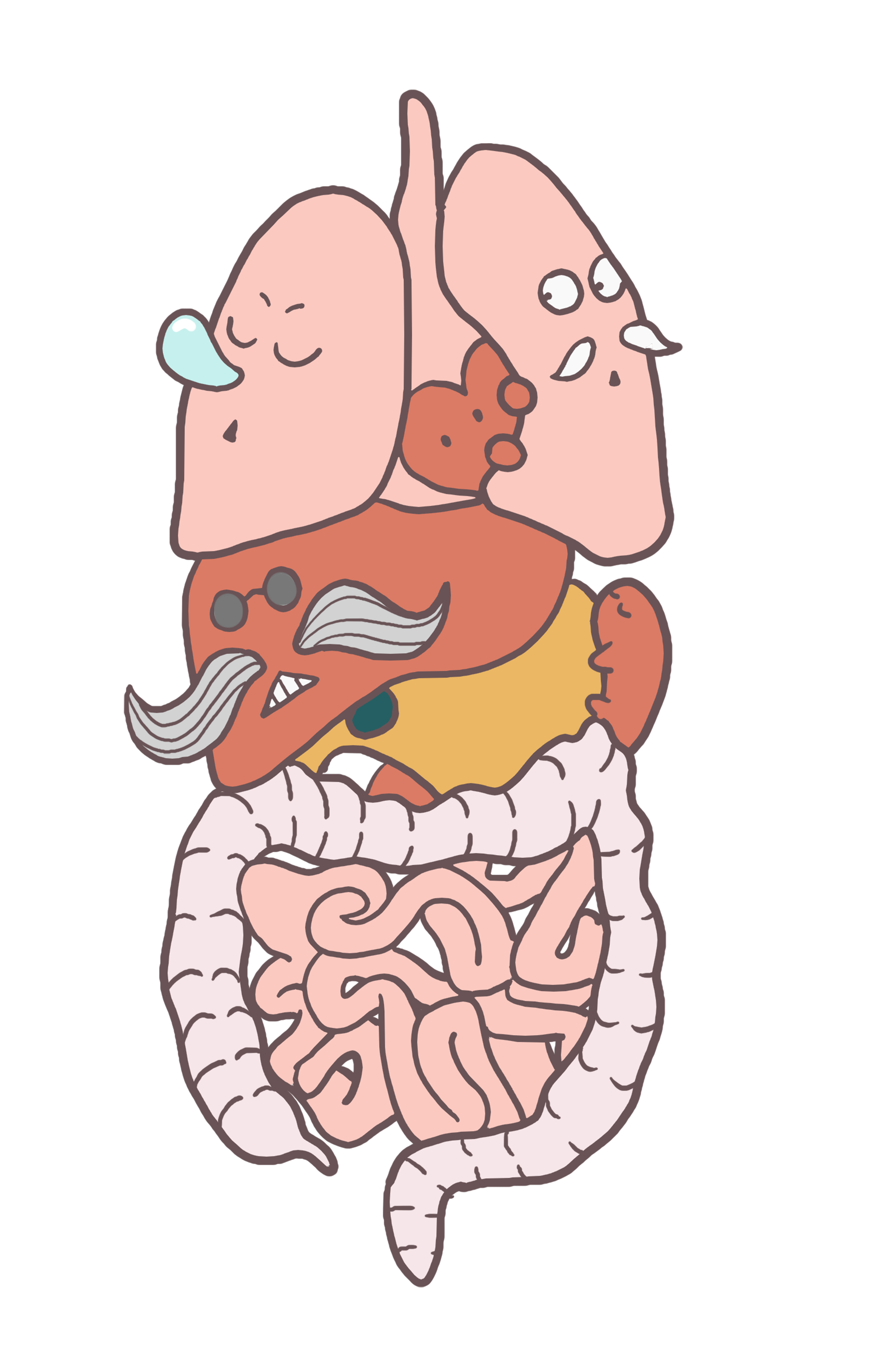 Pngtreeanatomy of human organs 4760475