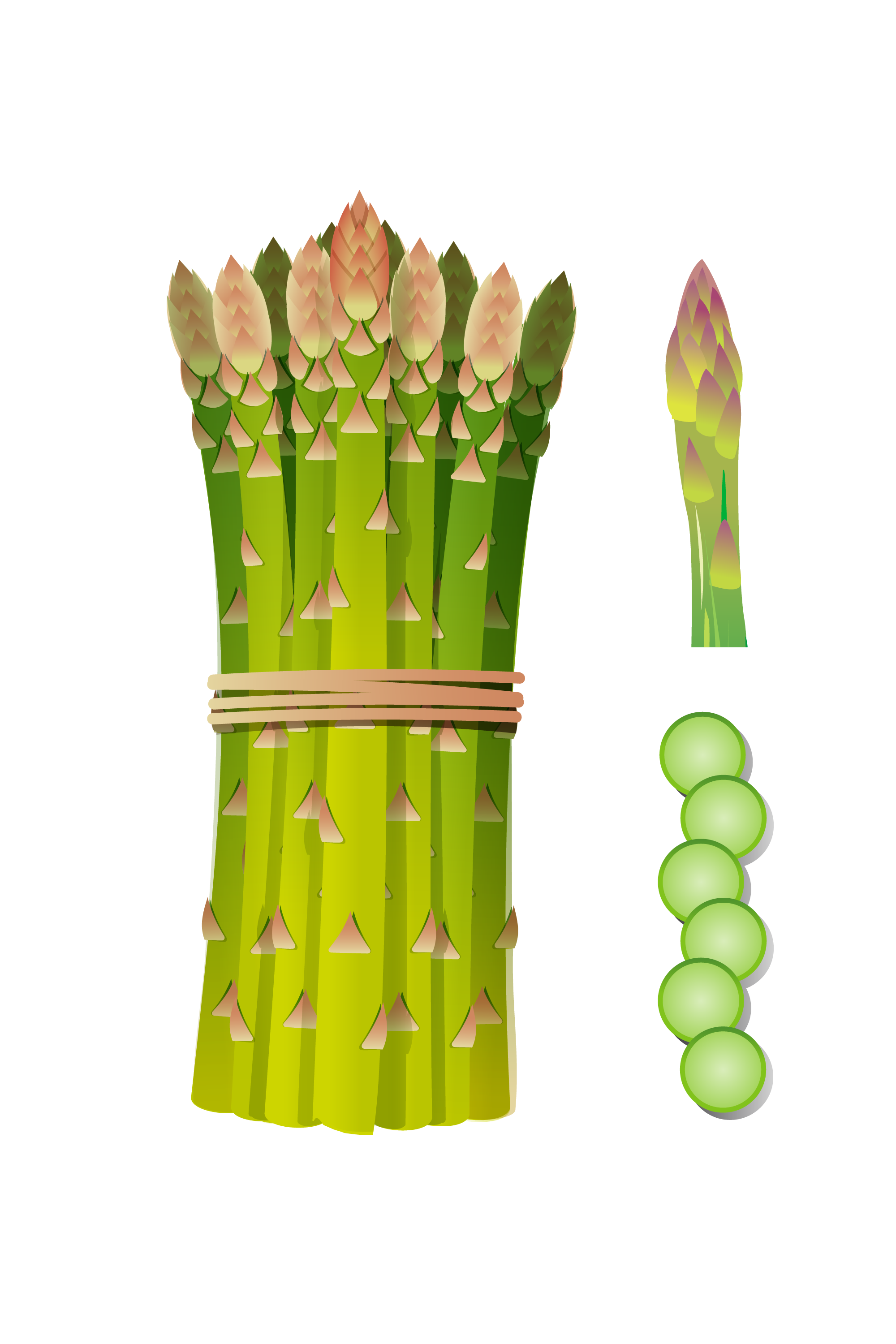 Pngtreebunch of bamboo shoots vegetable 4758946 1