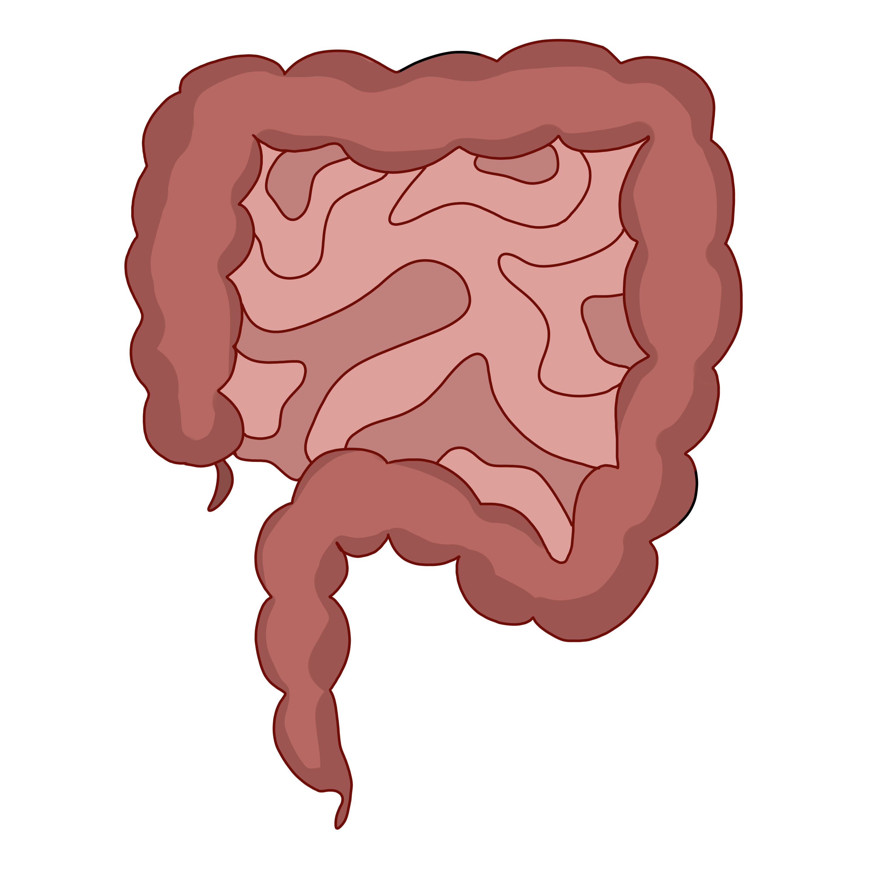 Pngtreehuman intestine organ illustration 4755417