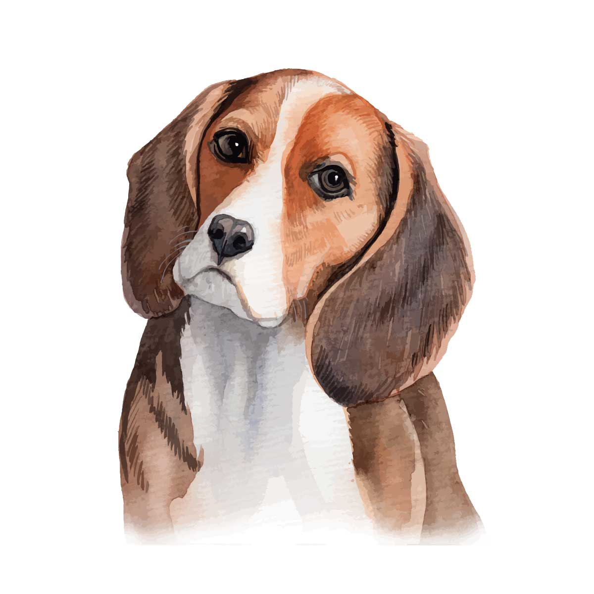Pngtreewatercolor hand painted beagle dog 5501041