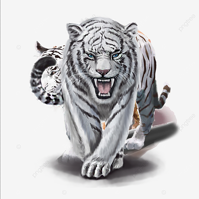 pngtree animal elements of ferocious white tiger png image 975794