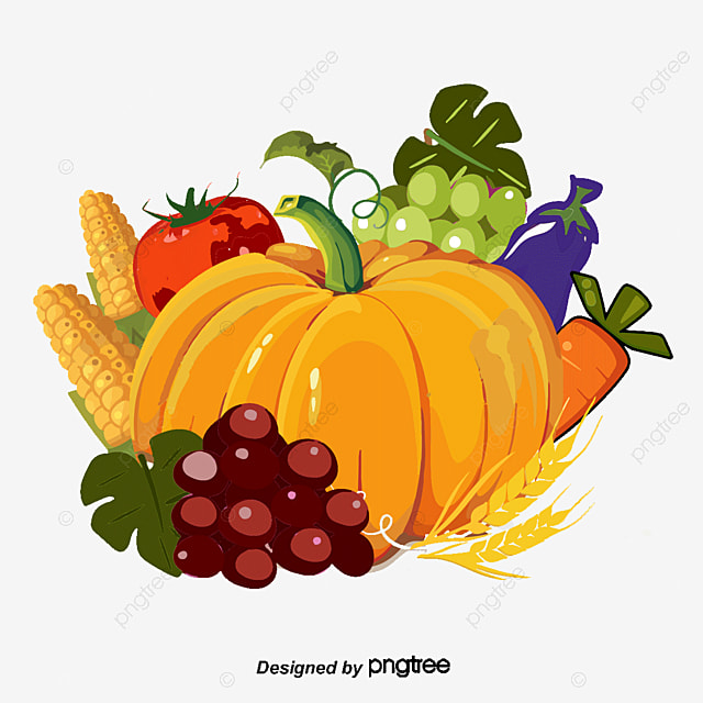 收穫水果和蔬菜食品